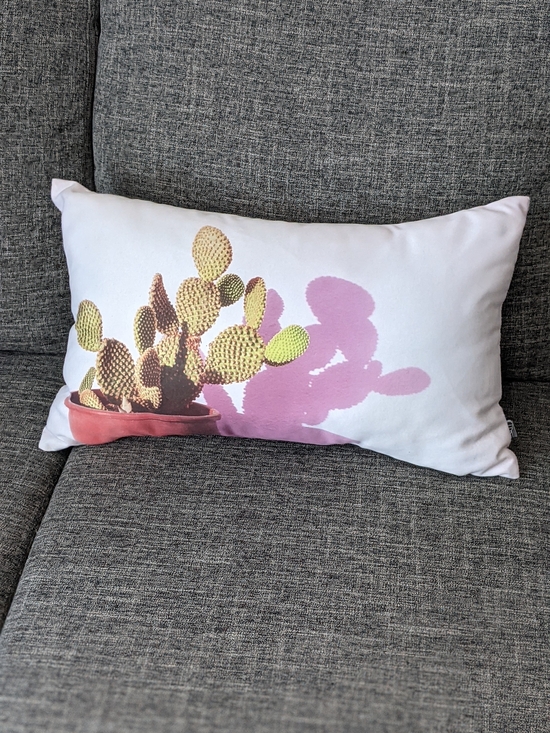 Other - Botanical Cactus Print Lumbar Pillow - Make Offers Soft And Firm At Same Time